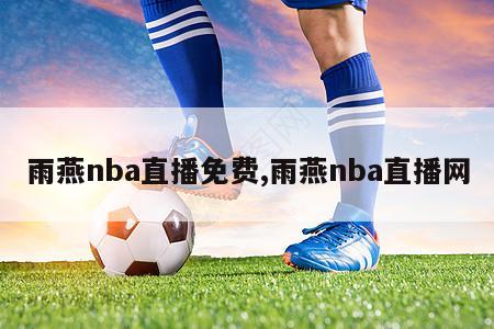 雨燕nba直播免费,雨燕nba直播网