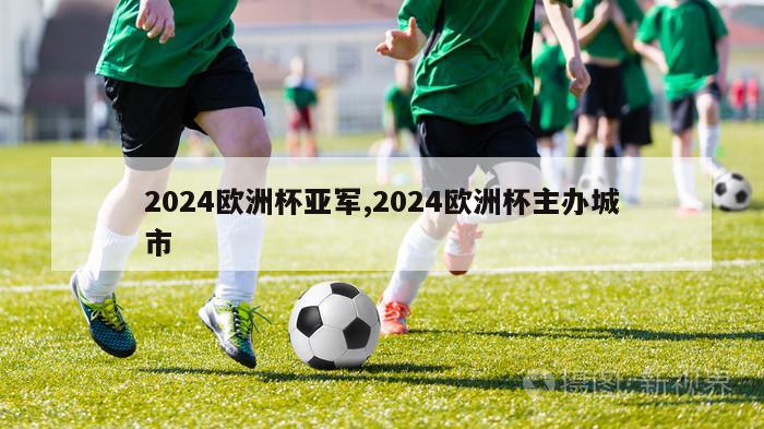 2024欧洲杯亚军,2024欧洲杯主办城市