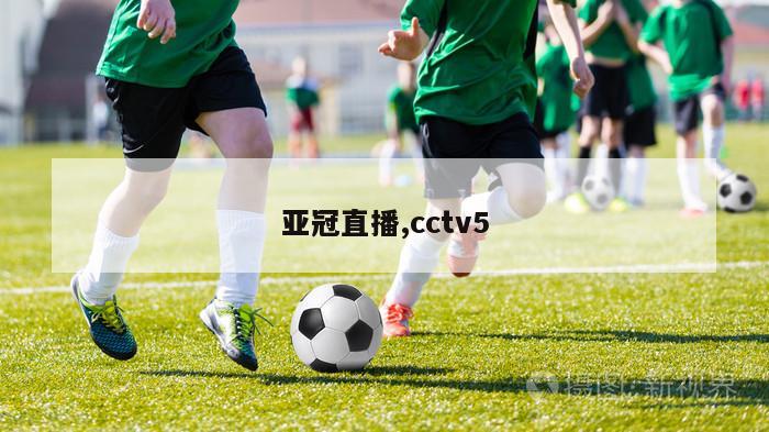 亚冠直播,cctv5