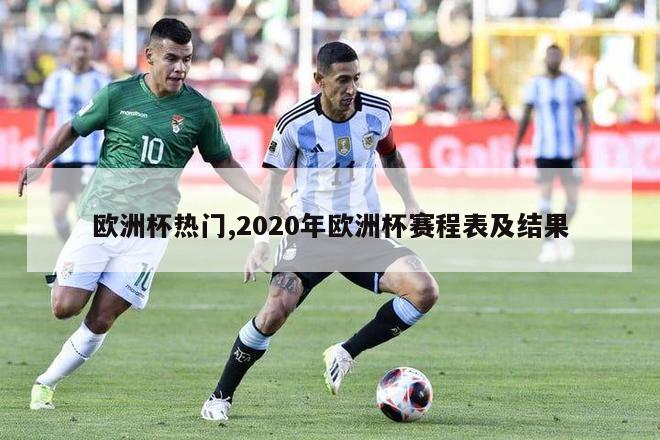 欧洲杯热门,2020年欧洲杯赛程表及结果